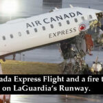 Honey Franko pens down a note appreciaing John Frog.